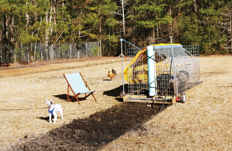 Multipurpose Pig Tiller